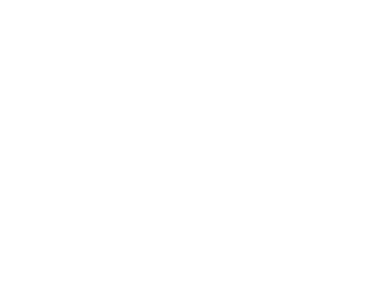 The Lofts at Spring Lake Logo